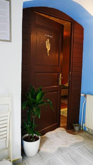Sahara With Shared Bathroom In Centre Bratislava
